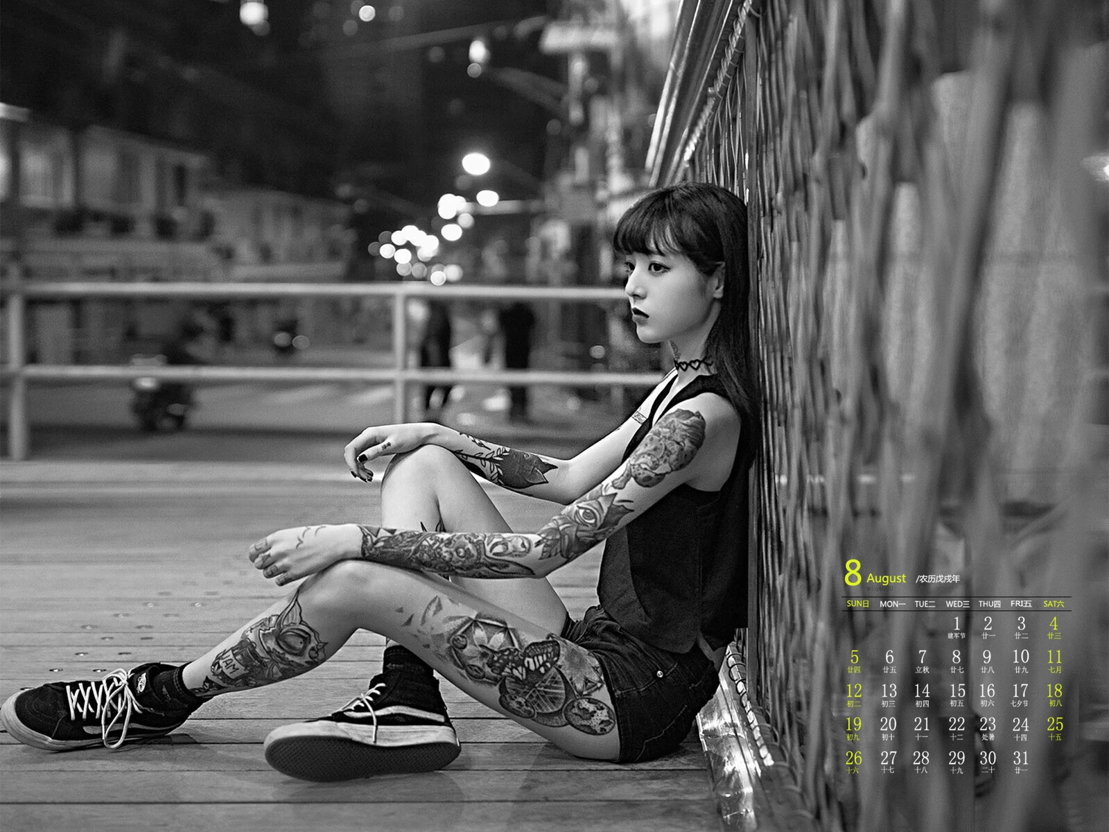 团子白又白