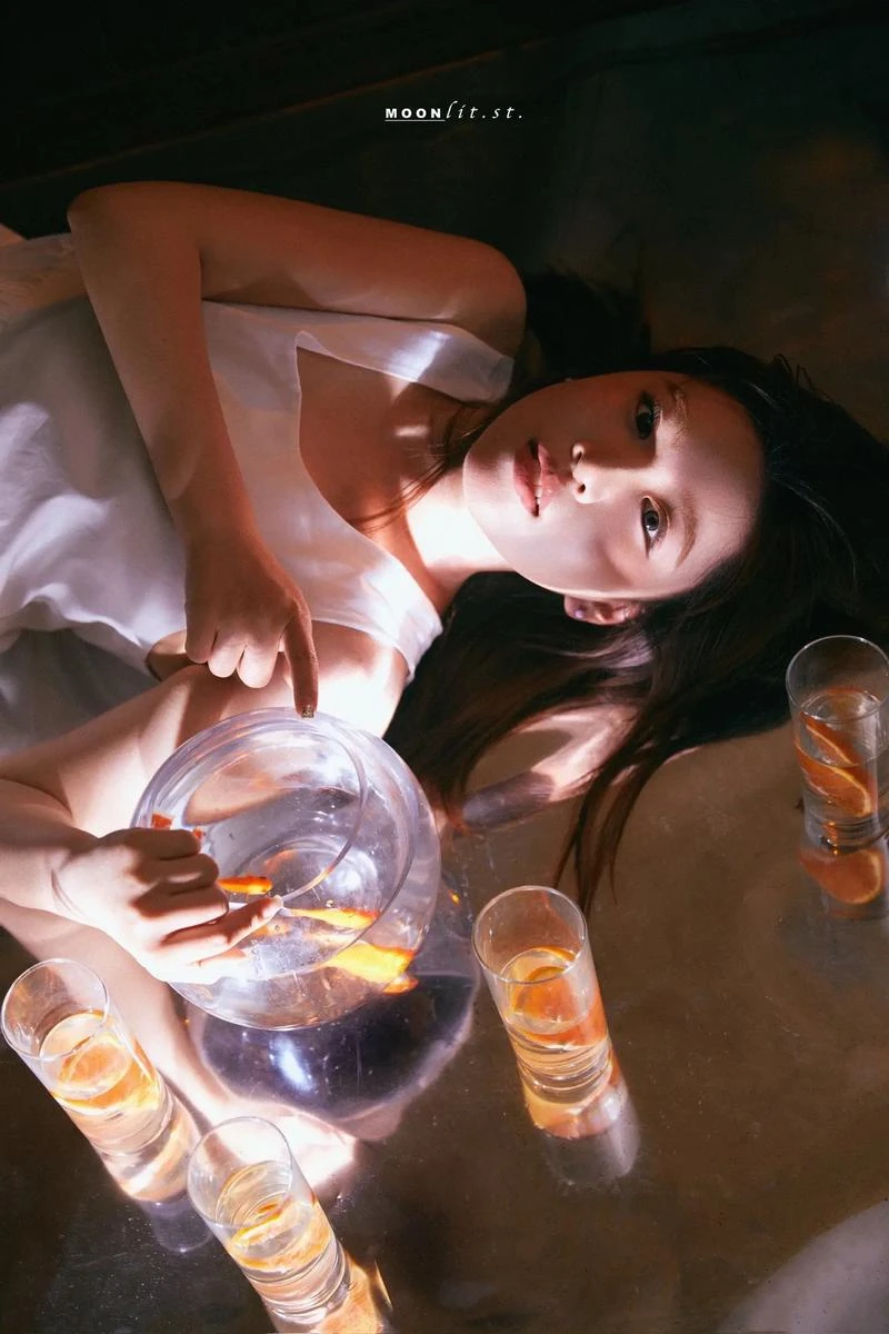 明月邀心