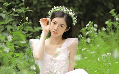 赤术苍木