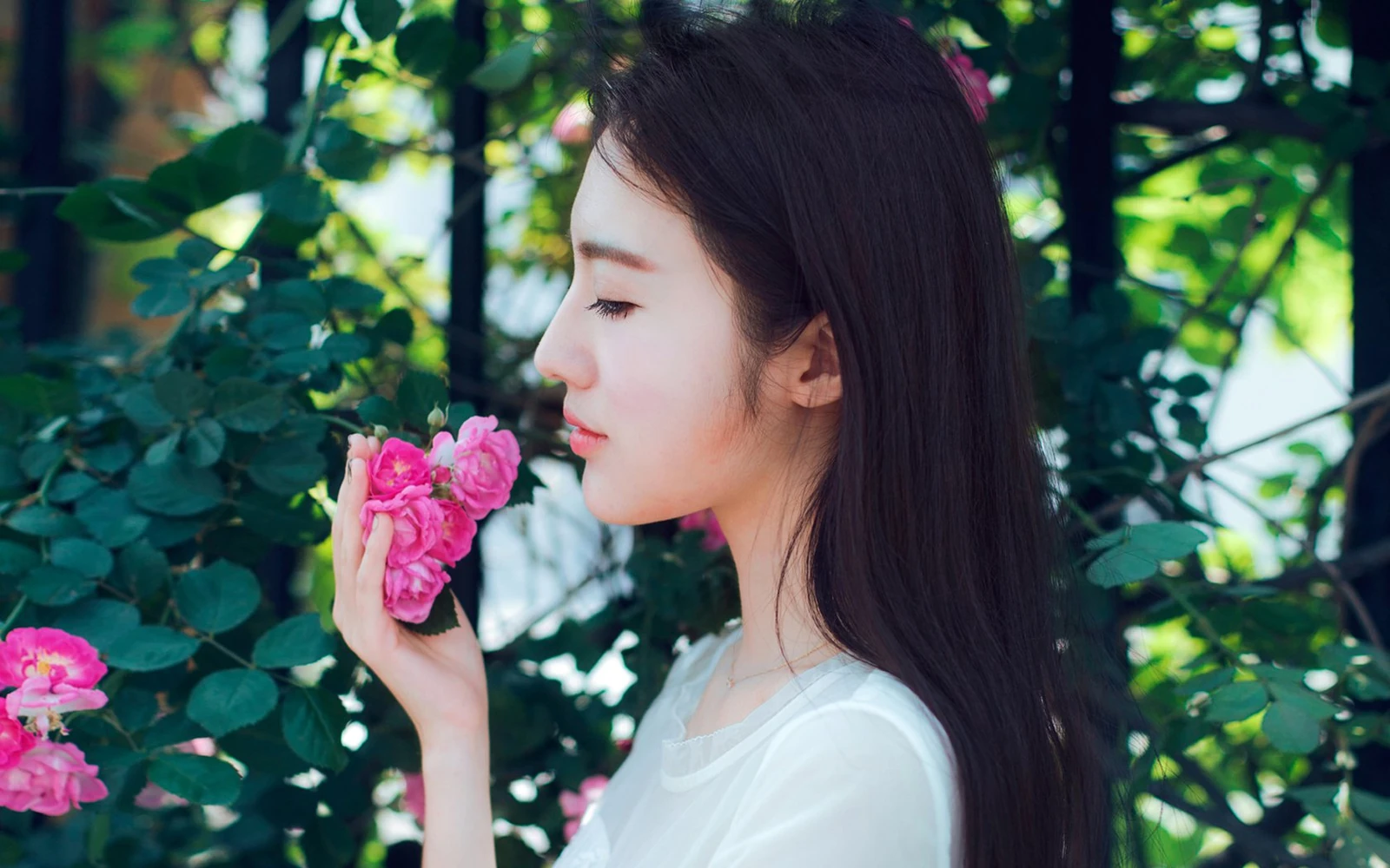 嘟嘟菜阿菜
