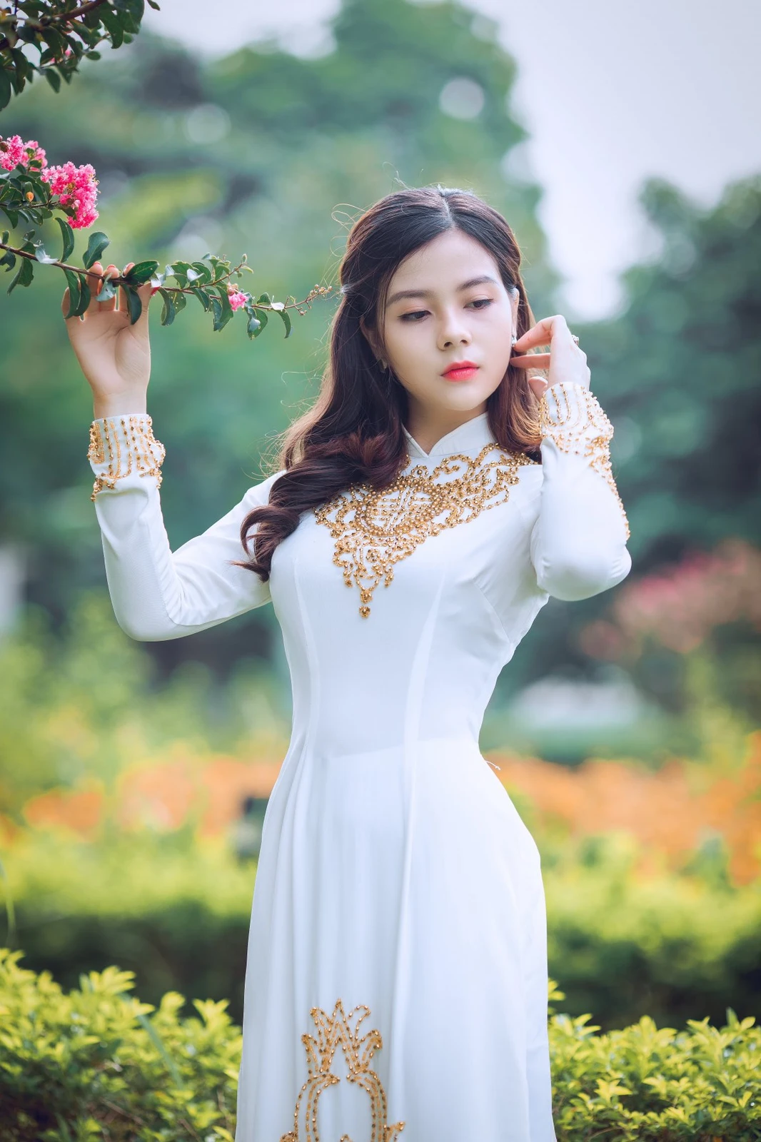 鹹尾鱼