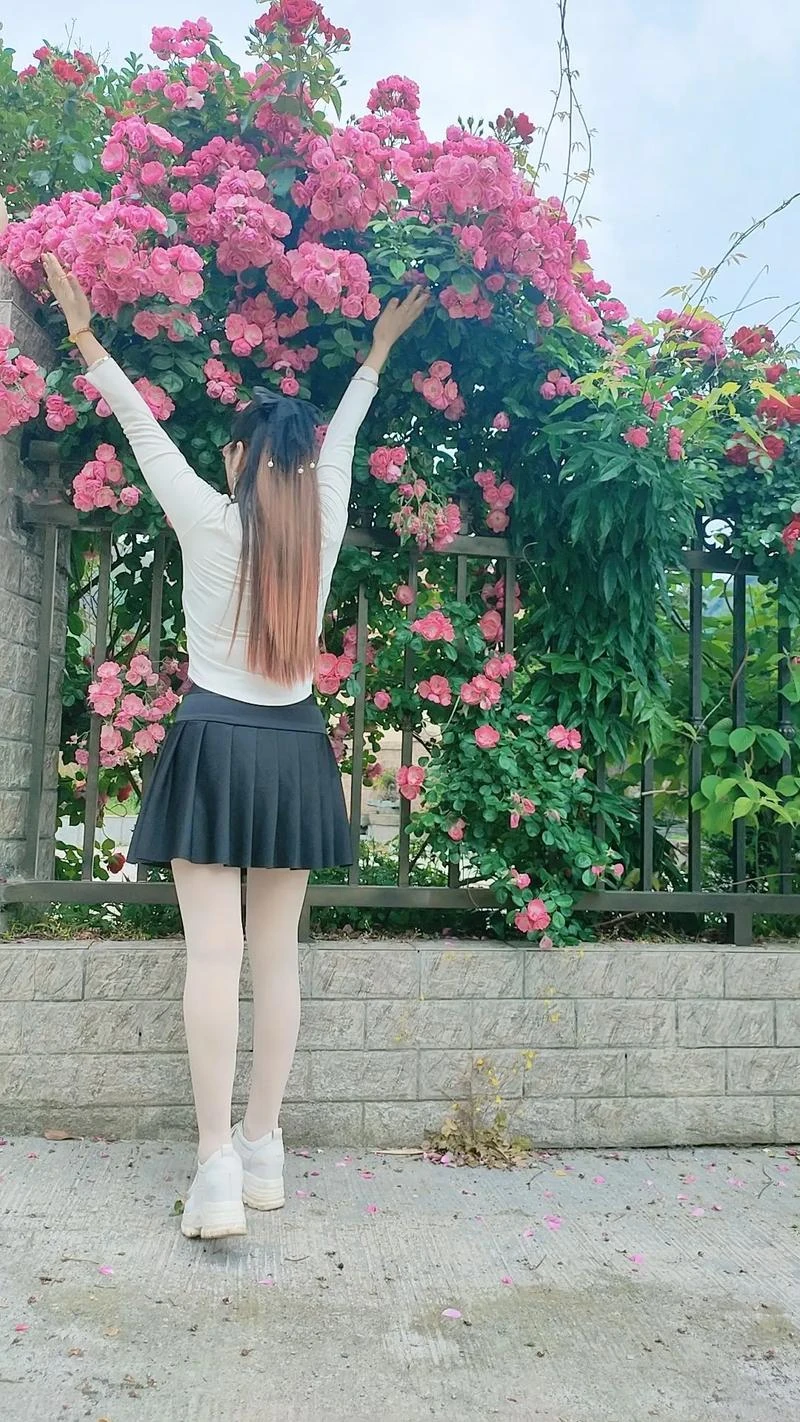 何西渡