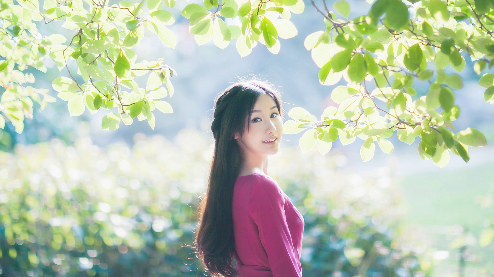 秦三见