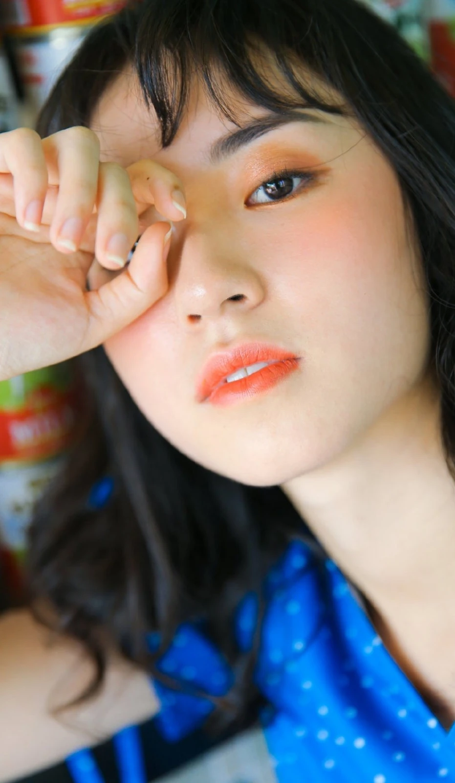 美丽夹子