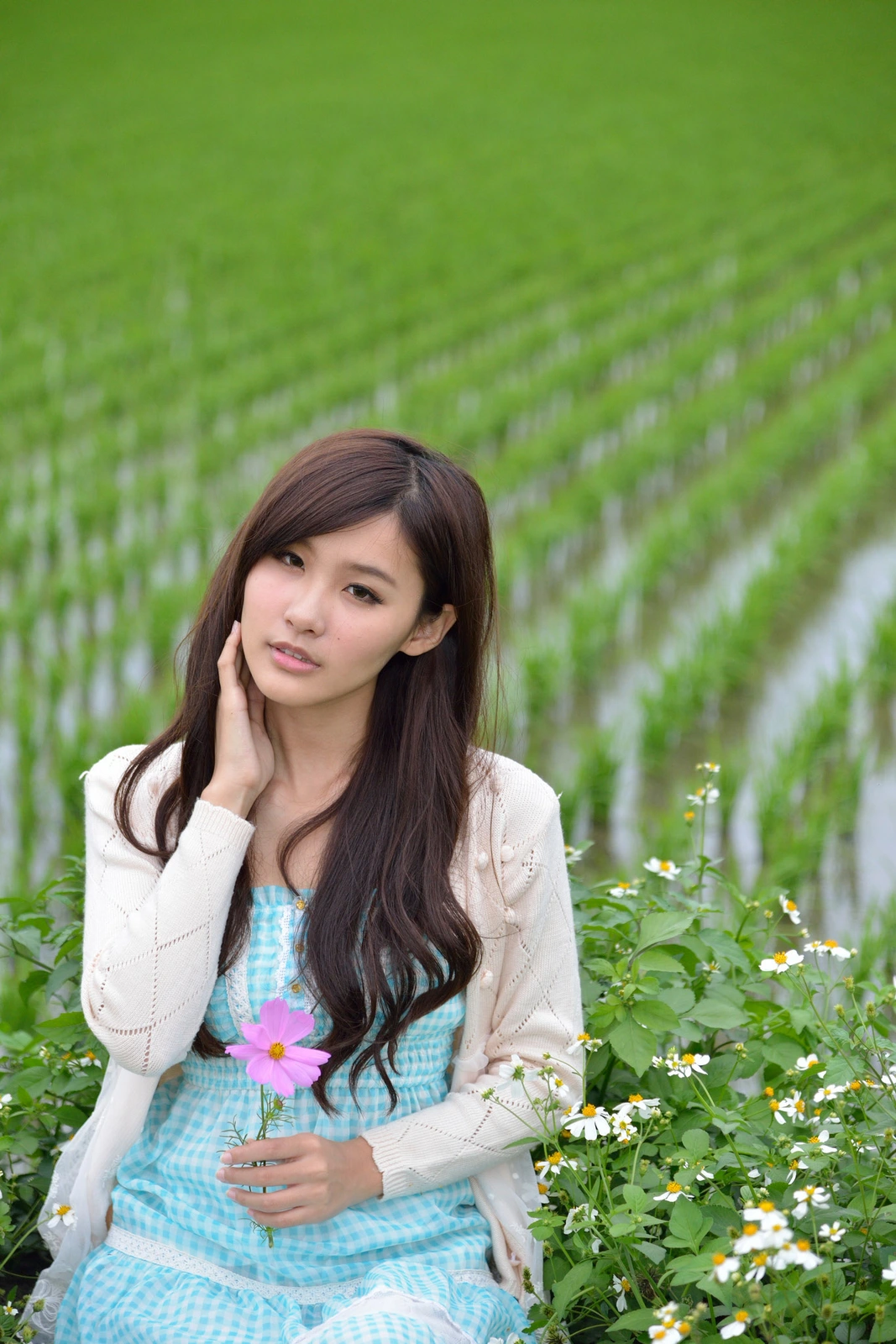 卖菜买鱼