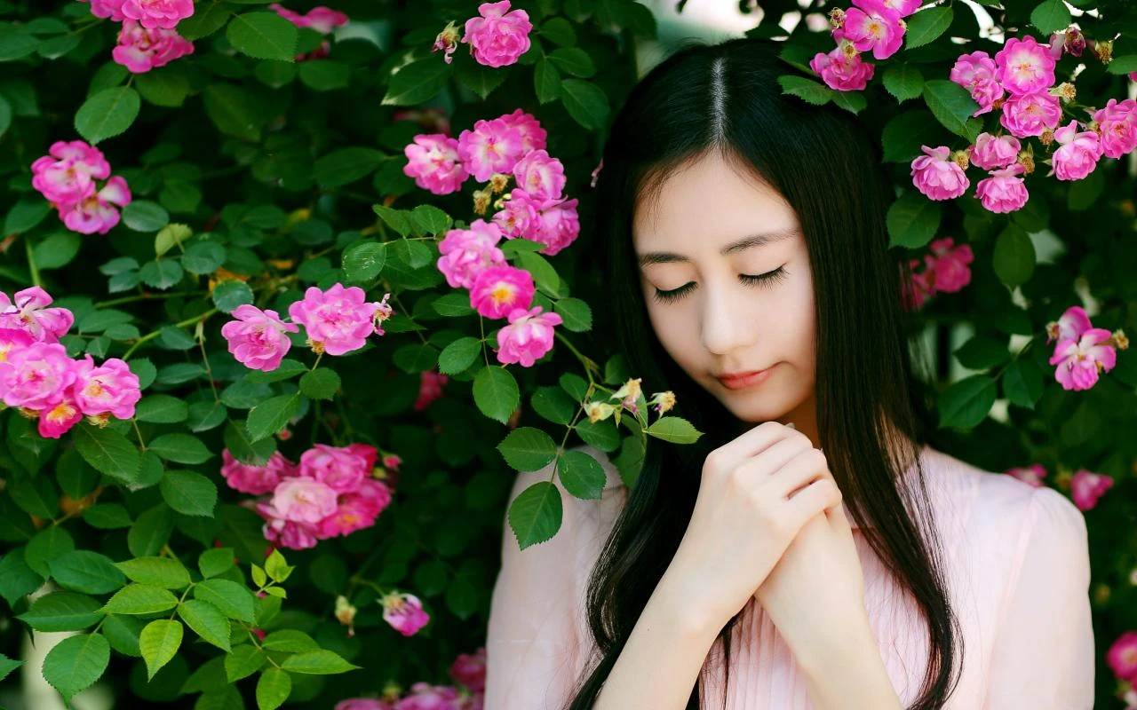 叛逆的竹蜻蜓