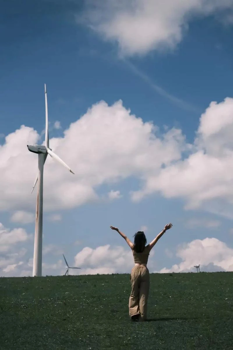 巡礼之年