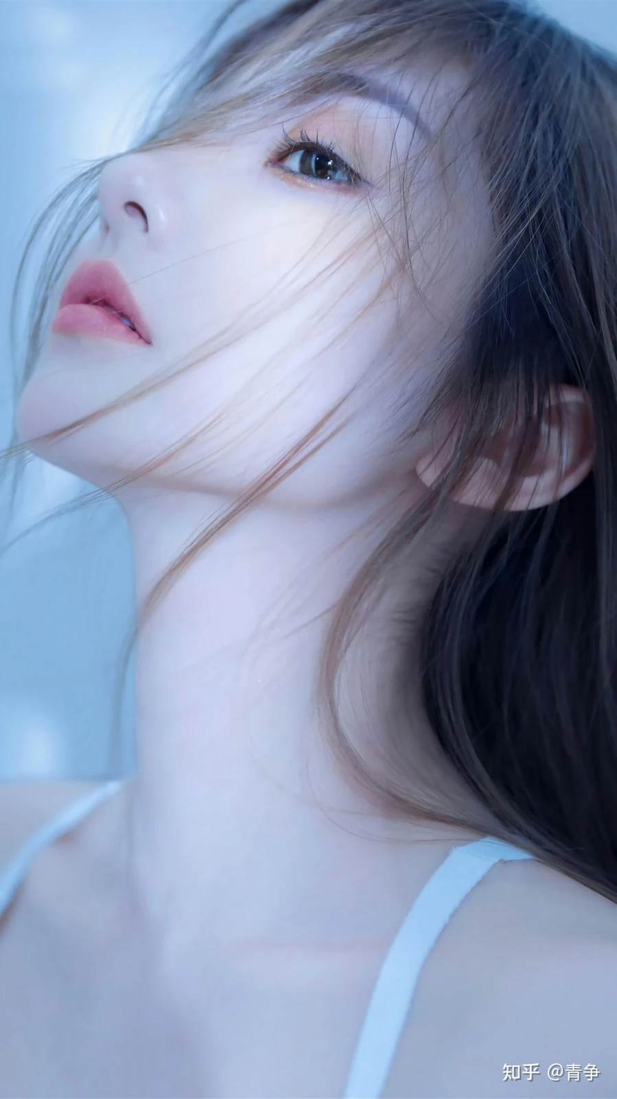 梨斯坦